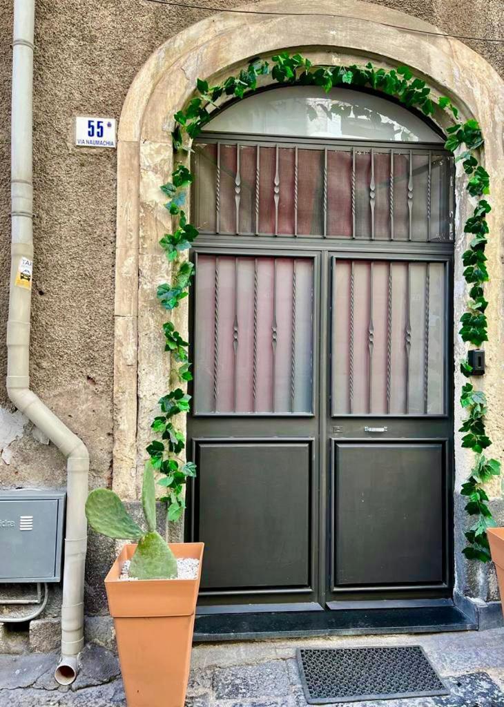 Ursino Holiday Apartment คาตาเนีย ภายนอก รูปภาพ