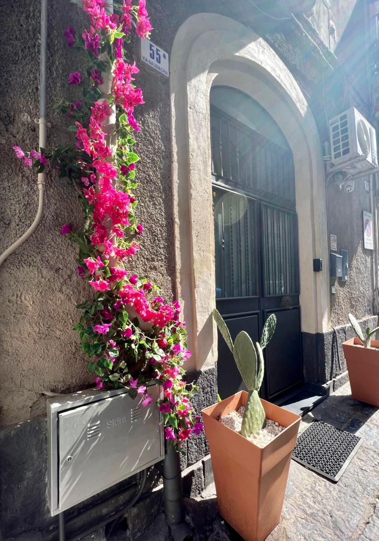 Ursino Holiday Apartment คาตาเนีย ภายนอก รูปภาพ